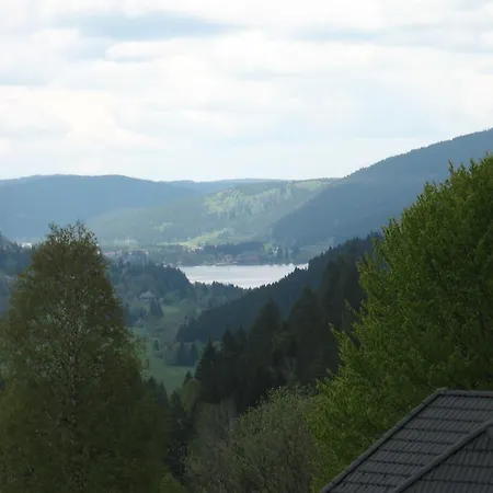 Gaestehaus Faller Feldberg (Baden-Wurttemberg)